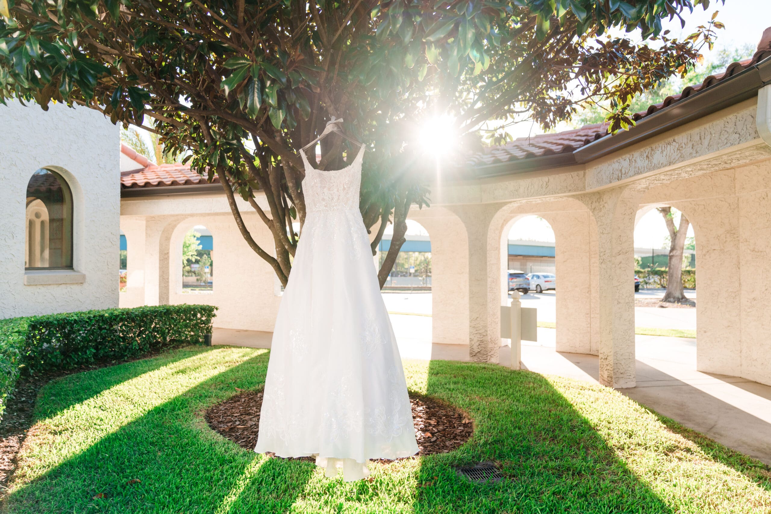 Sabrina's white wedding dress hanging from a tree at Kraft Azalea Gardens