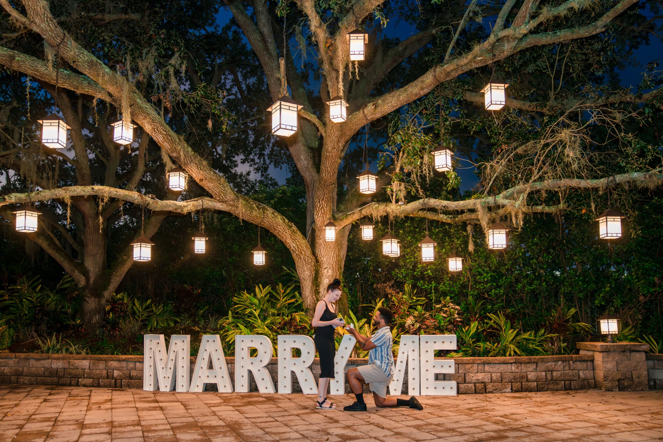 A proposal photo capturing the moment as she says 'YES' under a tree with candle lamps hanging and 'Marry Me' large letters in the background.