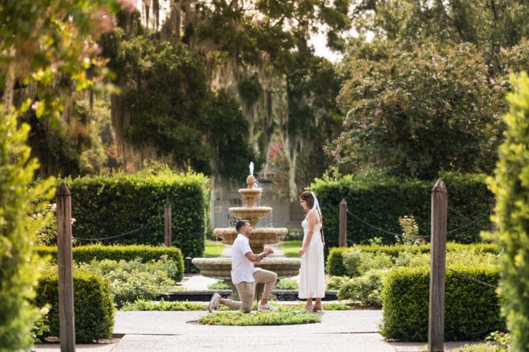 Surprise proposal at sunset captured at Leu Gardens, Orlando